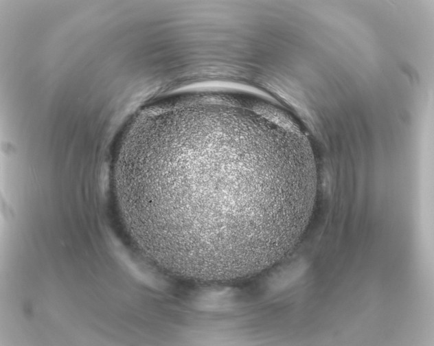 X0000091190206200708091255