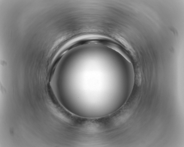 X0000091190207200708091255