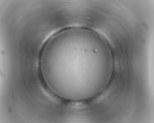 X0000091190208200708091255