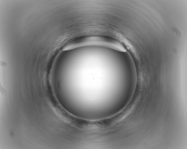 X0000091190209200708091255