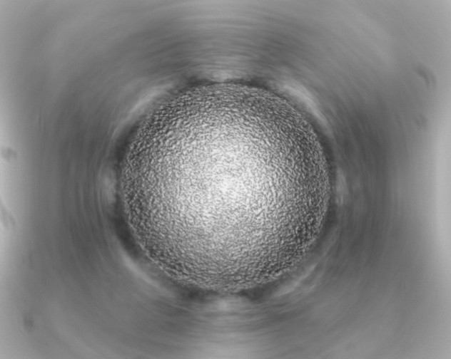 X0000091190210200708091255