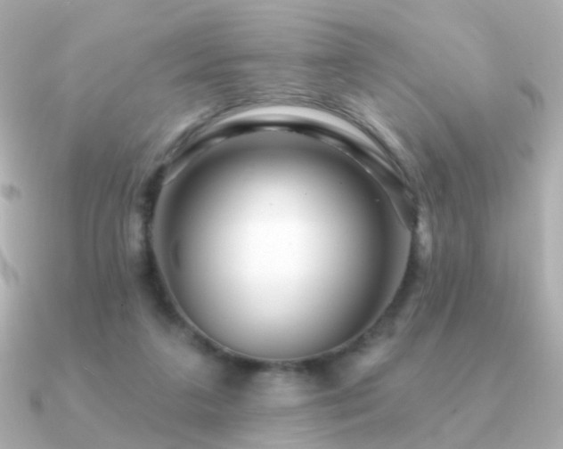 X0000091190211200708091255