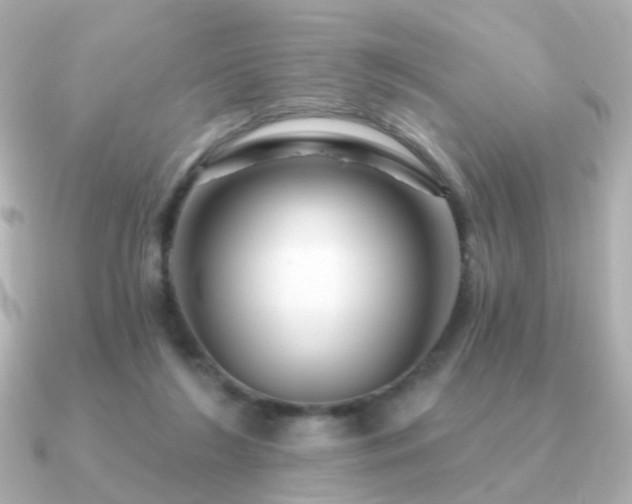 X0000091190212200708091255