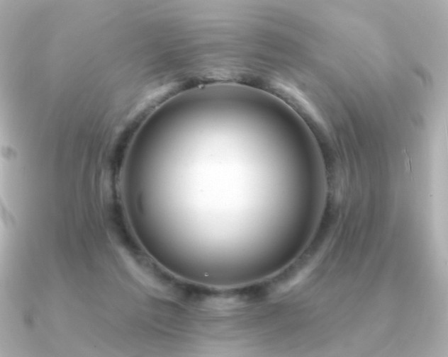 X0000091190213200708091255