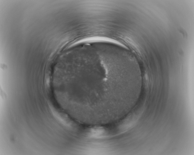 X0000091190214200708091255