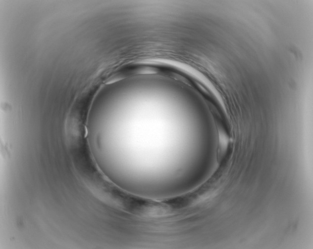 X0000091190215200708091255