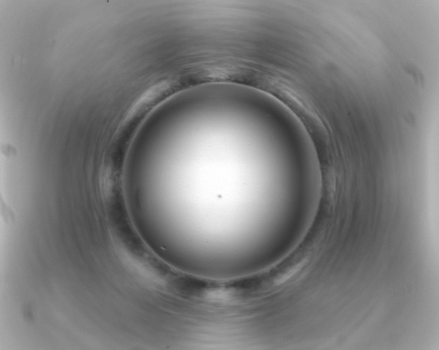 X0000091190216200708091255