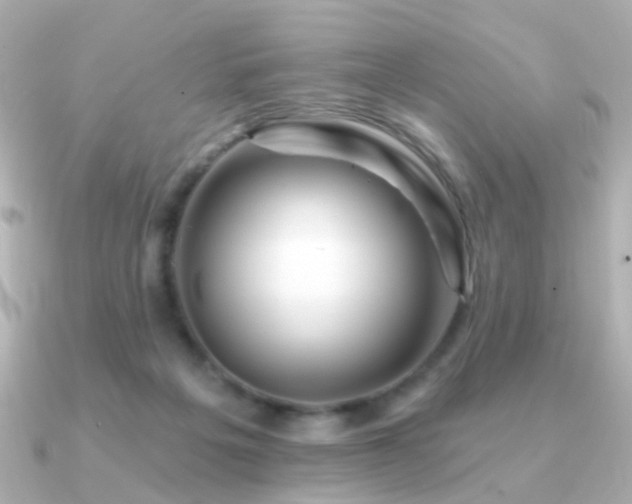 X0000091190217200708091255