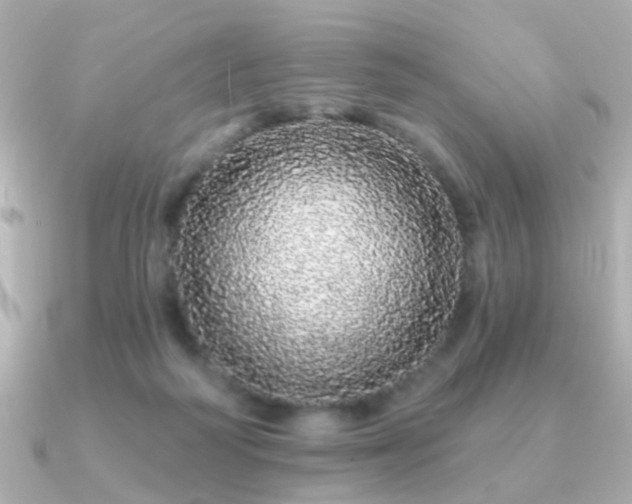 X0000091190218200708091255