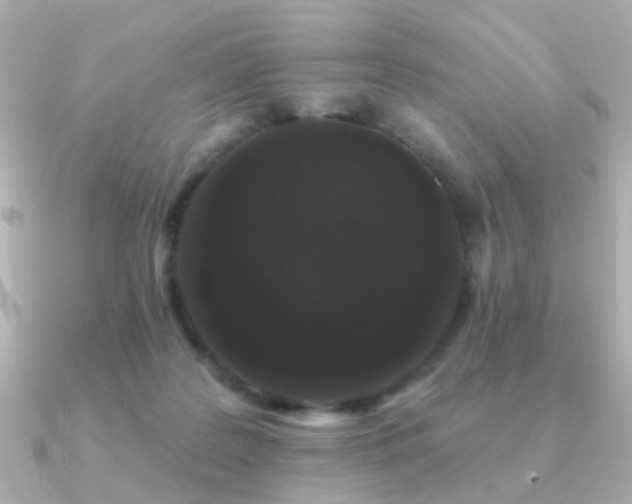 X0000091190219200708091255