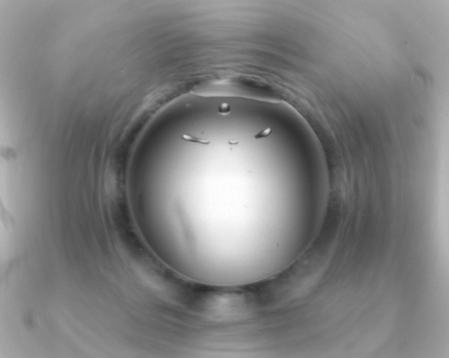 X0000091190220200708091255