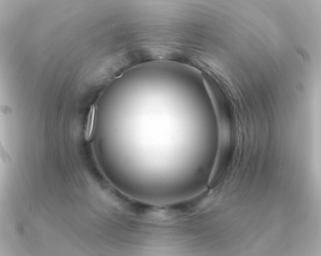 X0000091190221200708091255