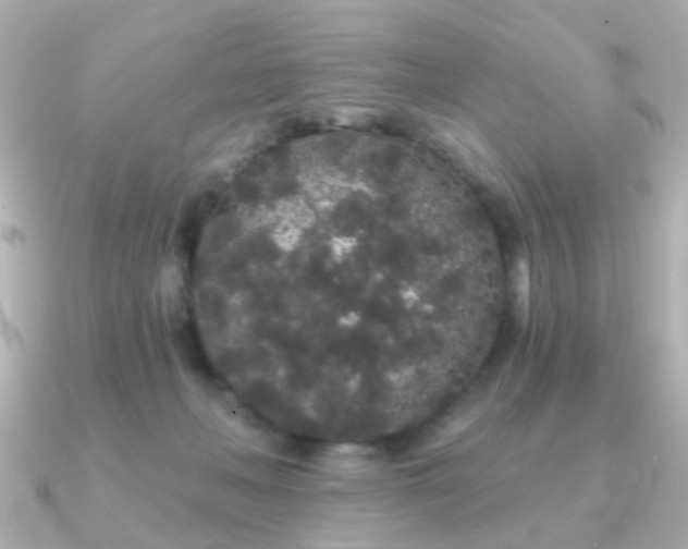 X0000091190222200708091255