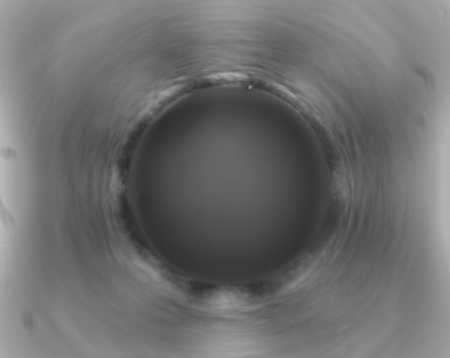 X0000091190223200708091255