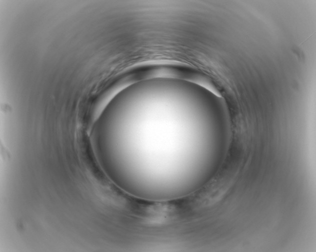 X0000091190225200708091255