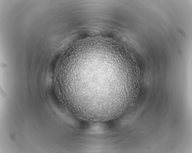 X0000091190226200708091255