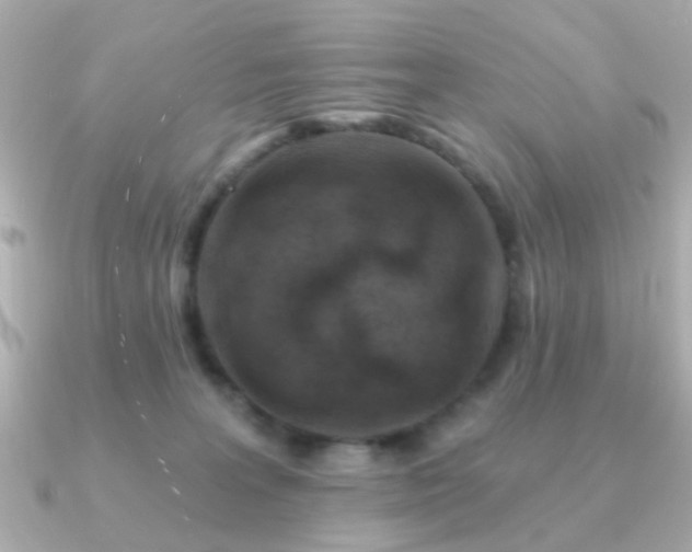 X0000091190227200708091255