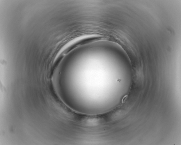 X0000091190228200708091255