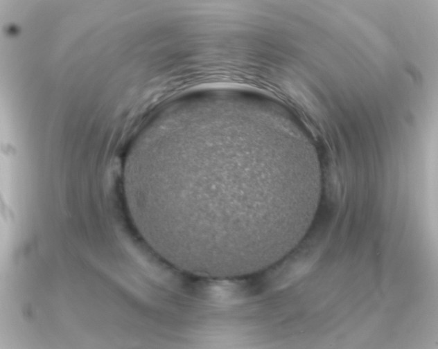X0000091190229200708091255