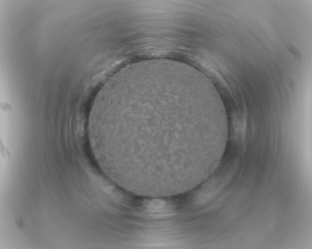 X0000091190230200708091255