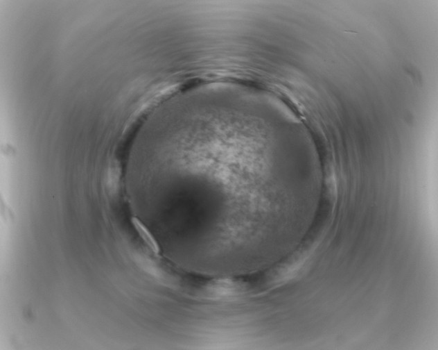 X0000091190231200708091255