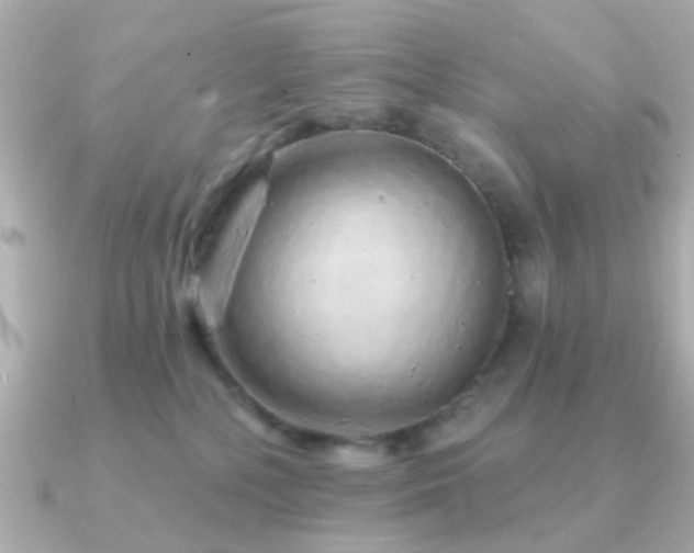 X0000091190232200708091255