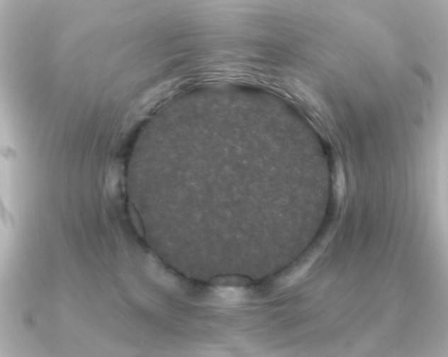 X0000091190233200708091255