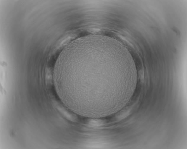 X0000091190234200708091255
