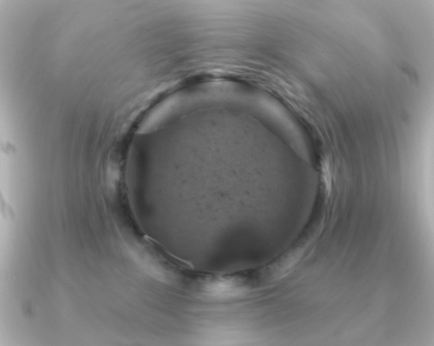 X0000091190235200708091255