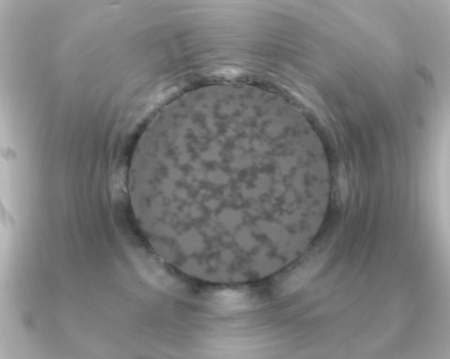 X0000091190236200708091255