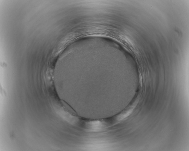 X0000091190237200708091255