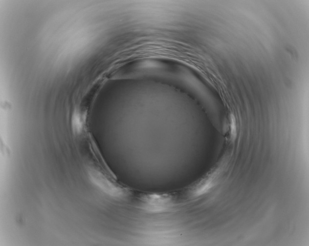 X0000091190239200708091255