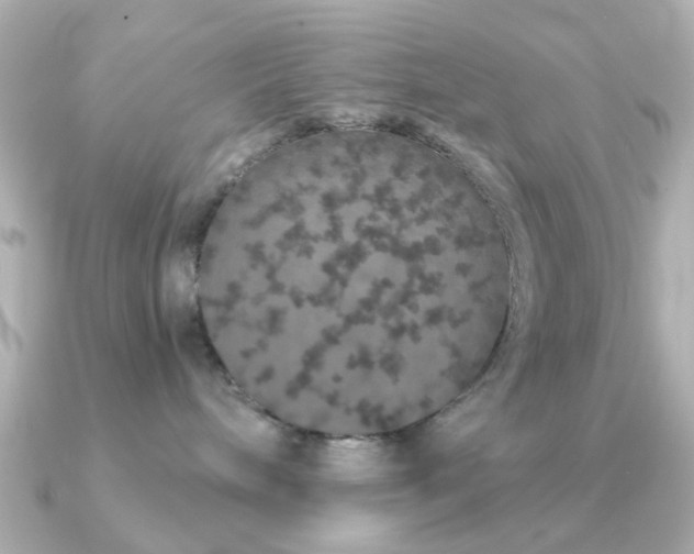 X0000091190240200708091255
