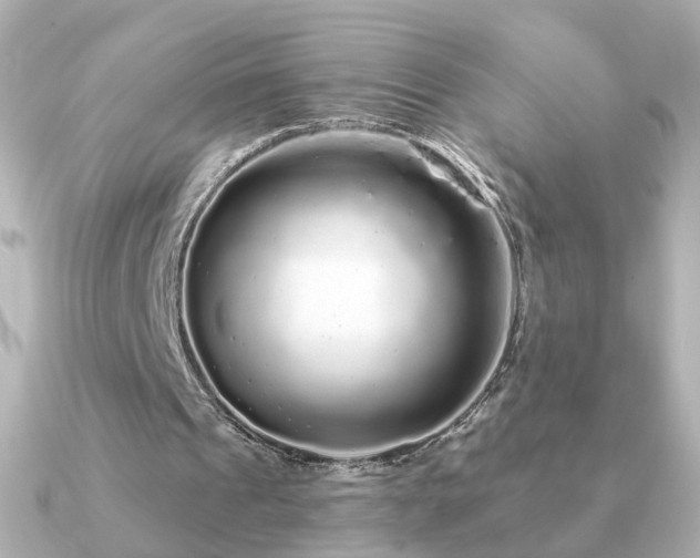 X0000091190241200708091254