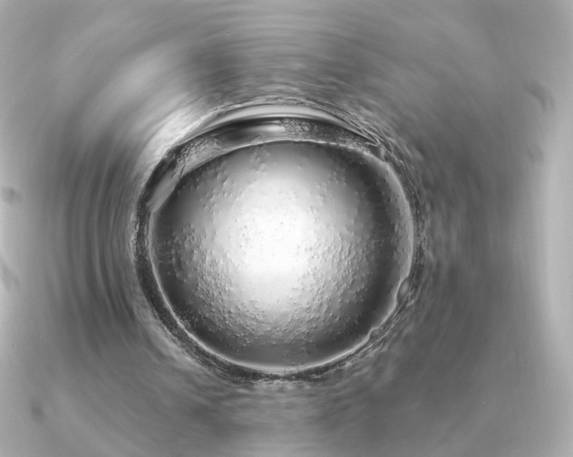 X0000091190242200708091254