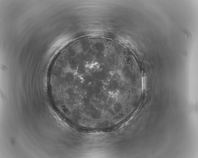 X0000091190243200708091254