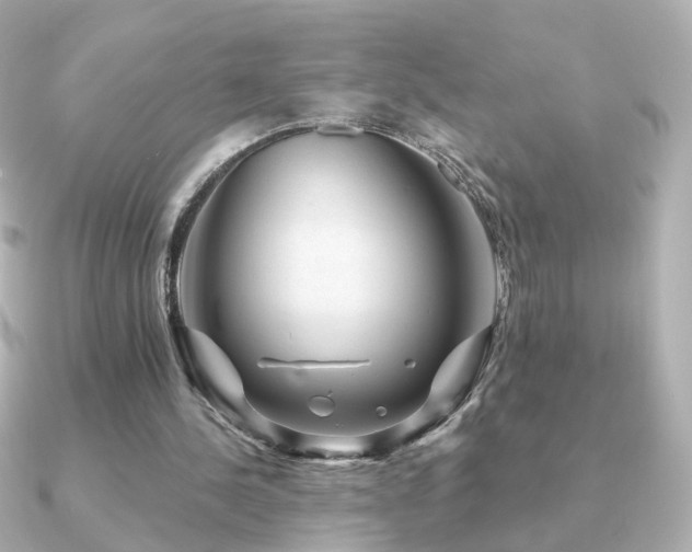 X0000091190244200708091254