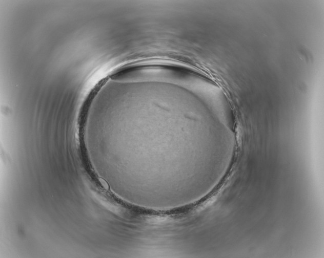 X0000091190246200708091254