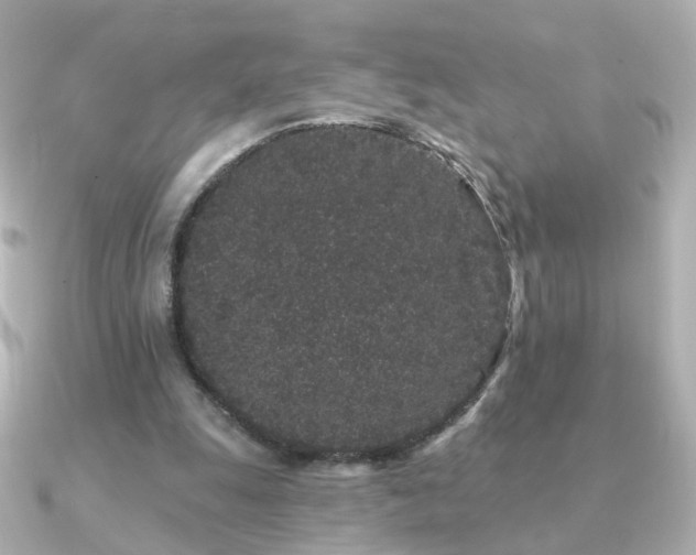 X0000091190247200708091254
