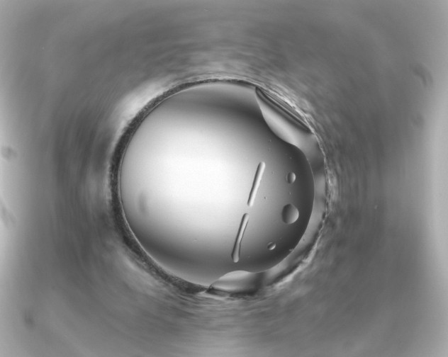 X0000091190248200708091254