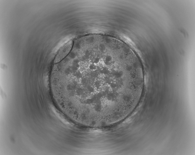 X0000091190249200708091254
