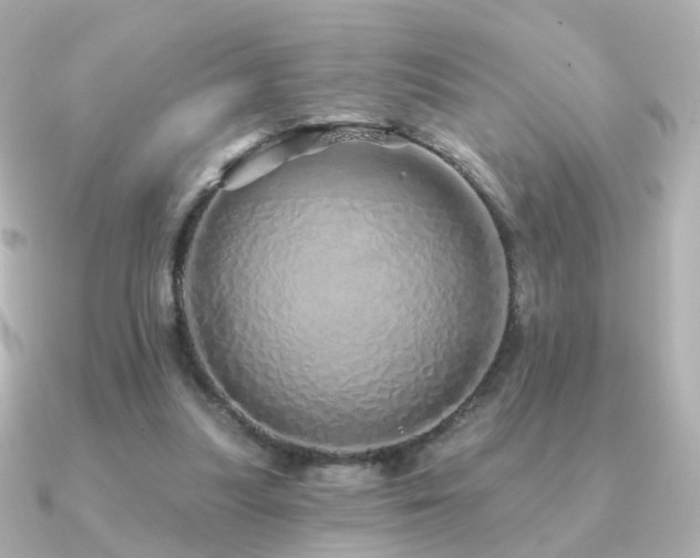 X0000091190251200708091254