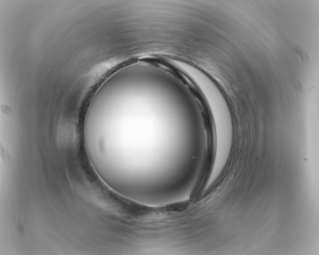 X0000091190252200708091254