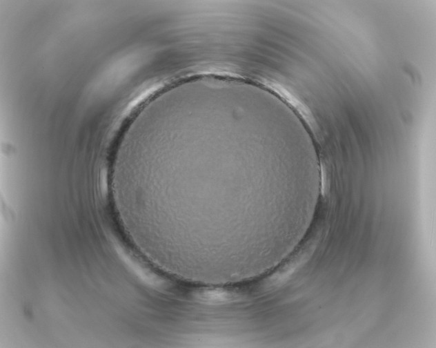 X0000091190253200708091254