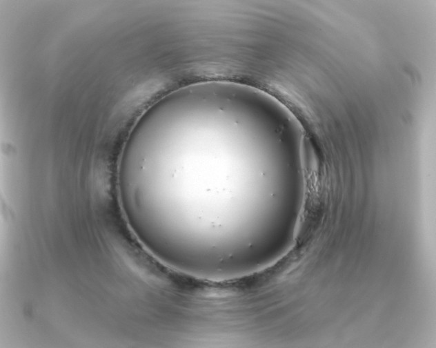 X0000091190255200708091254