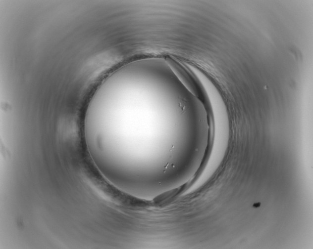 X0000091190256200708091254
