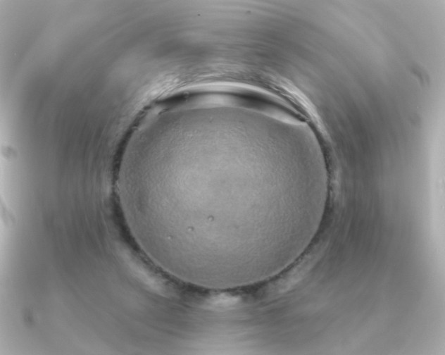 X0000091190257200708091254