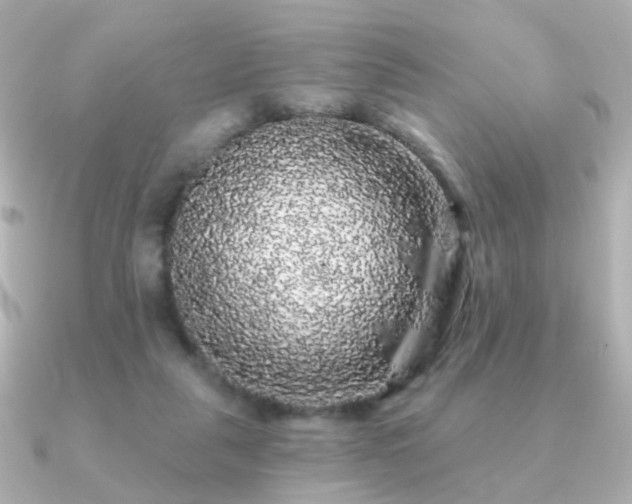 X0000091190259200708091254