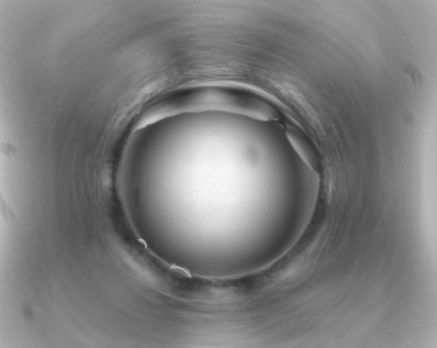 X0000091190260200708091254