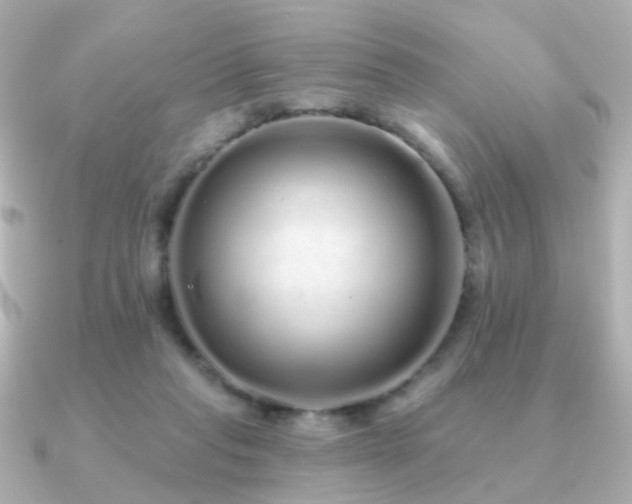 X0000091190261200708091254